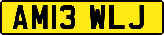AM13WLJ
