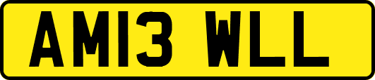 AM13WLL