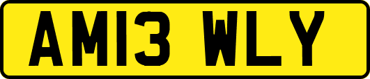 AM13WLY