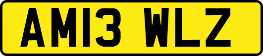 AM13WLZ