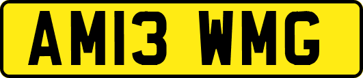 AM13WMG