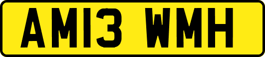 AM13WMH