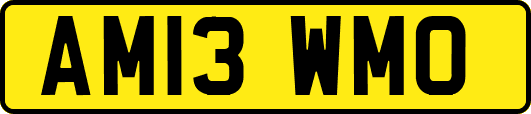 AM13WMO