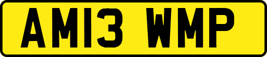 AM13WMP