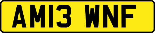 AM13WNF