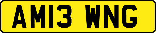 AM13WNG