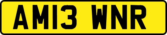 AM13WNR