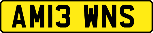 AM13WNS