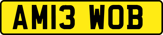 AM13WOB