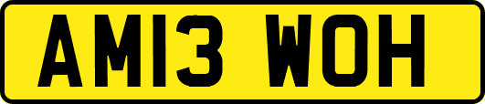 AM13WOH