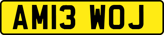 AM13WOJ