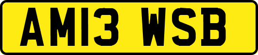 AM13WSB
