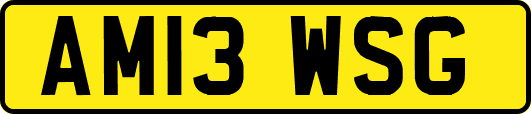 AM13WSG