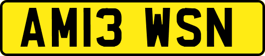 AM13WSN
