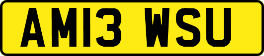 AM13WSU