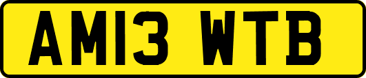 AM13WTB
