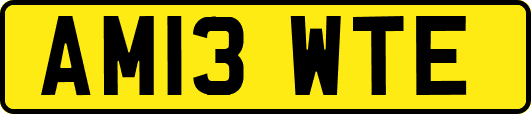 AM13WTE