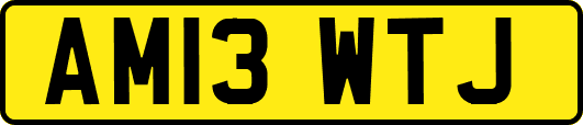 AM13WTJ