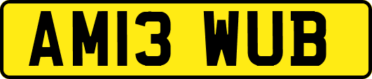 AM13WUB