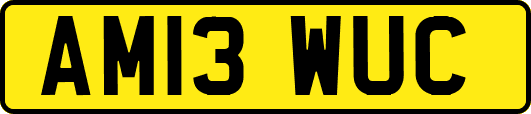 AM13WUC