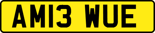 AM13WUE