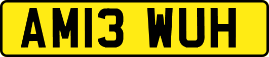 AM13WUH