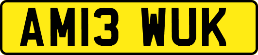 AM13WUK