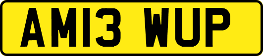AM13WUP