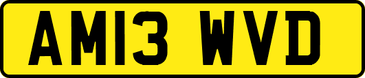 AM13WVD