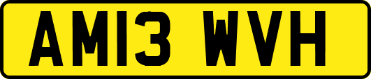 AM13WVH