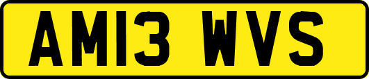 AM13WVS