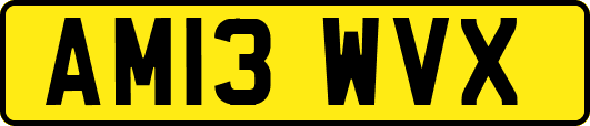 AM13WVX