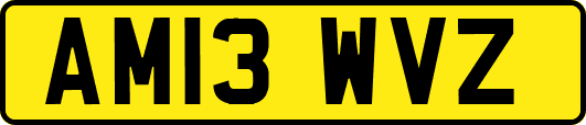 AM13WVZ