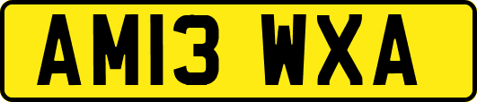 AM13WXA