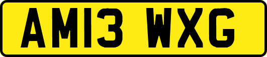 AM13WXG