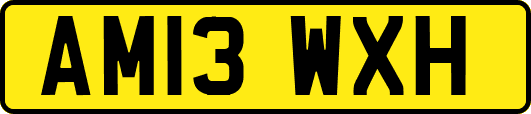 AM13WXH
