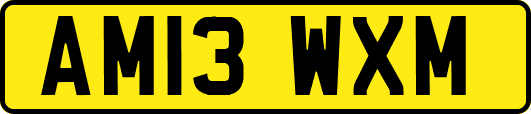 AM13WXM