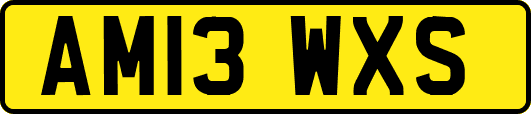 AM13WXS