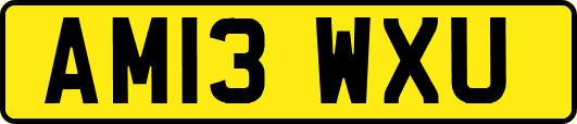 AM13WXU
