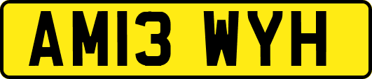 AM13WYH