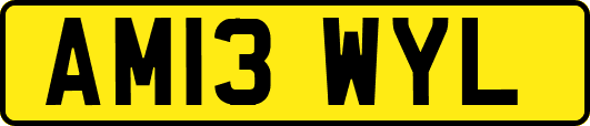AM13WYL
