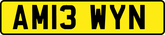AM13WYN
