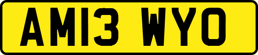 AM13WYO