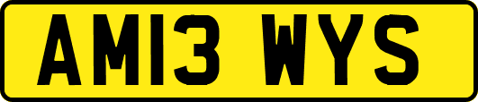AM13WYS