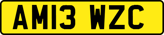 AM13WZC