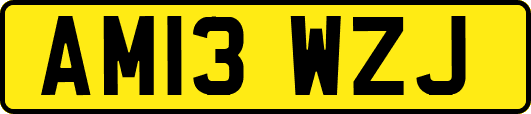 AM13WZJ