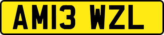 AM13WZL