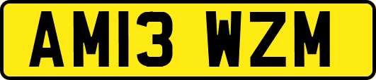 AM13WZM