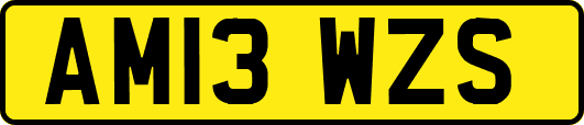 AM13WZS