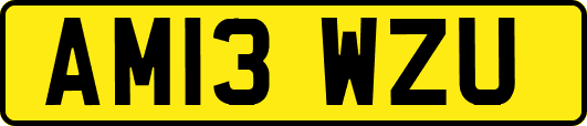AM13WZU